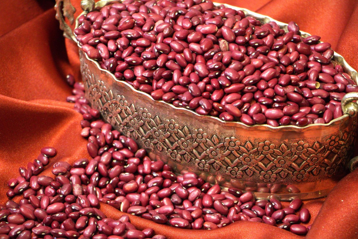 لوبیا گلی
