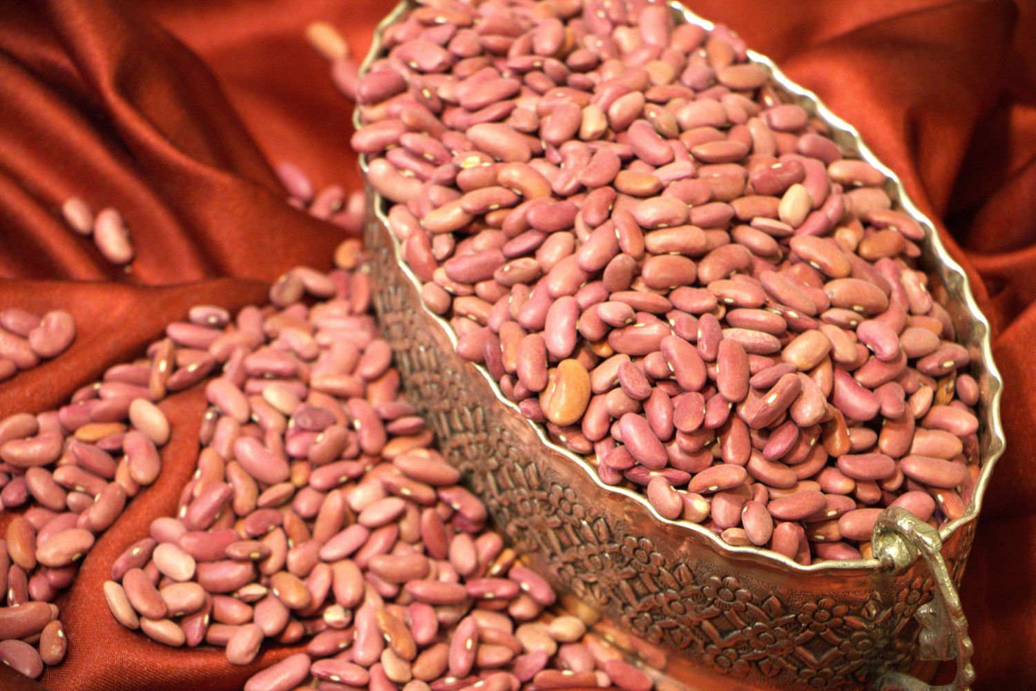لوبیا قلمی