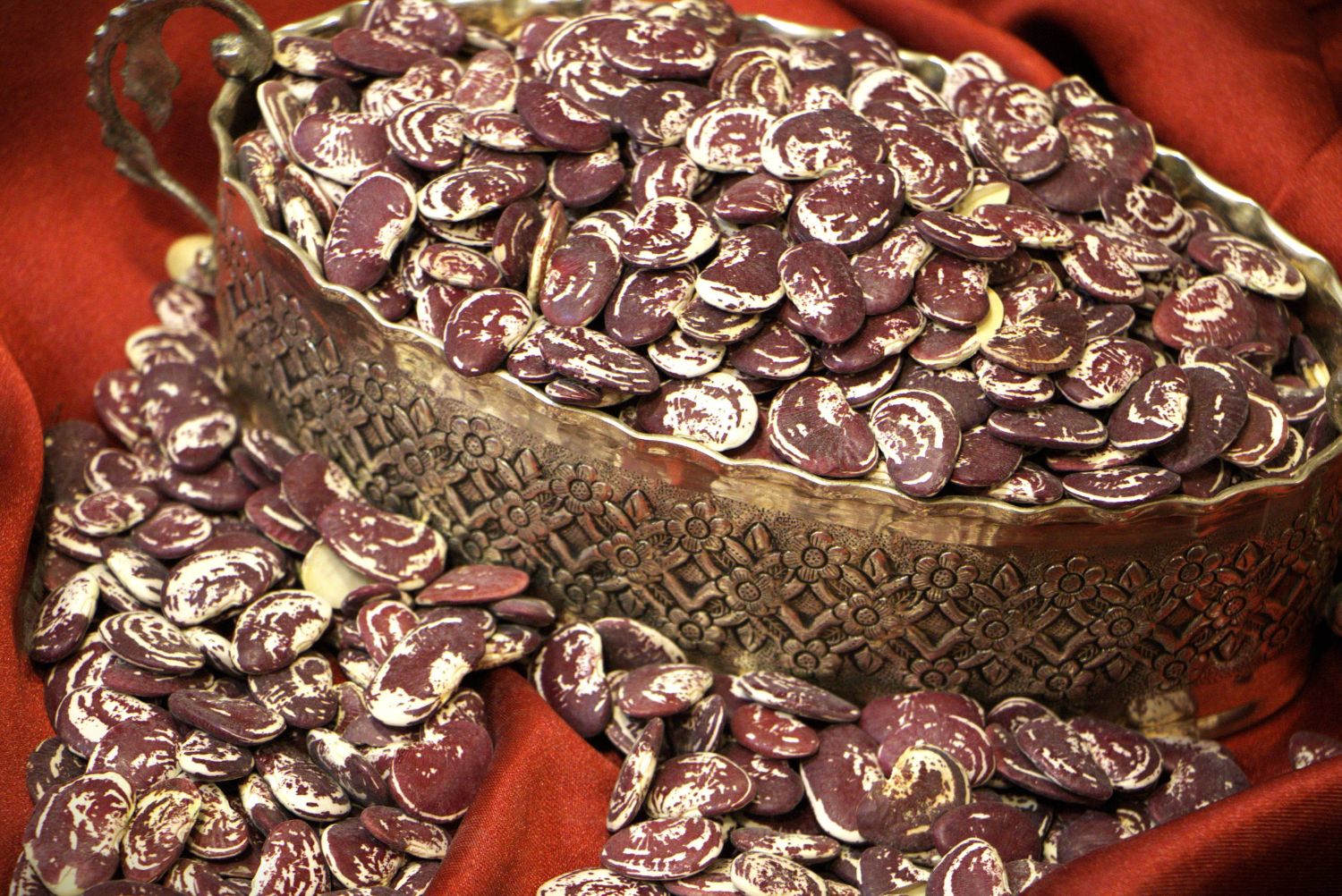 لوبیا عروس