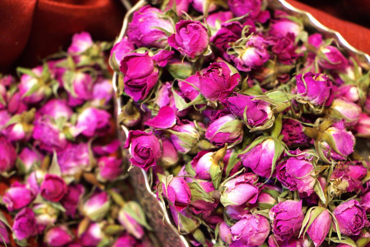 غنچه گل محمدی