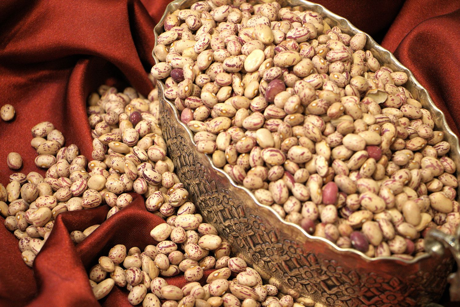 لوبیا چیتی ایرانی