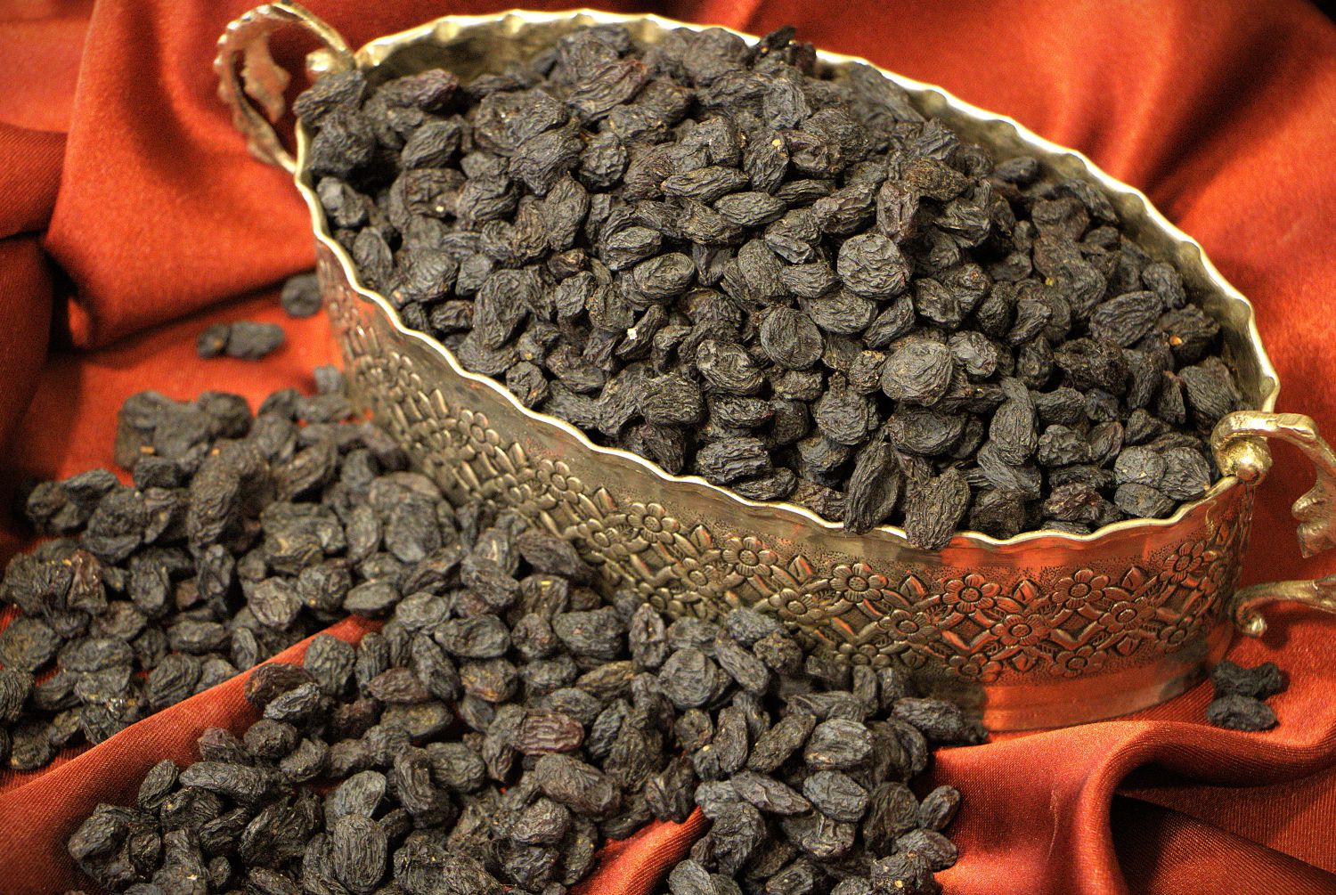 مویز افغان